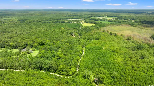 $799,000 | 3124 Doodlebug Place, Marion, SC 29571
