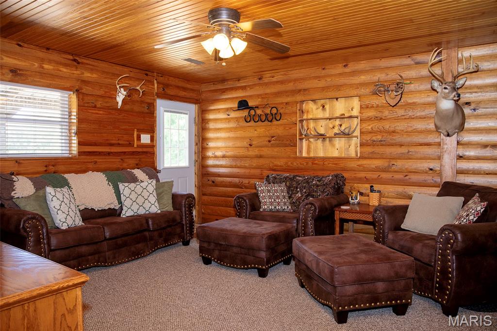 211 Henry Hicks Road Herod, IL 62947 - Photo 14 of 36