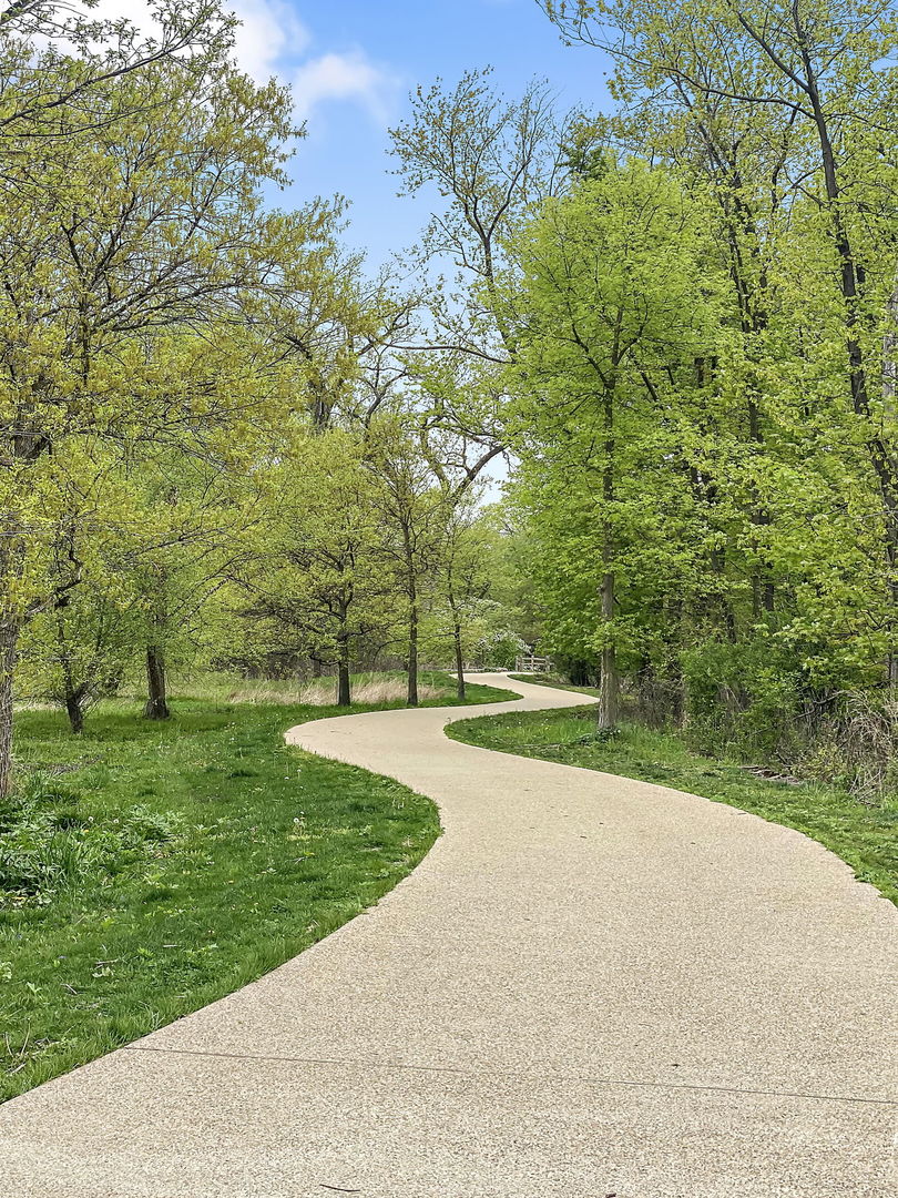 478 Uvedale Road Riverside, IL 60546 - Photo 36 of 40 a view of a park with large trees