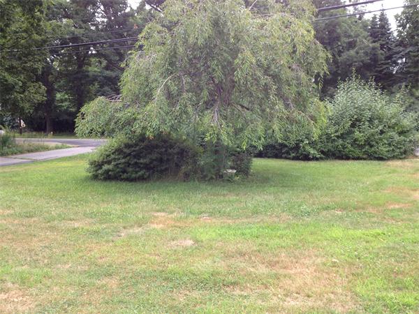 197 Doyle Road Holden, MA 01520 - Photo 13 of 13 Gallery Image 13