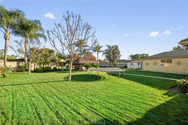 a garden with trees in front of it
