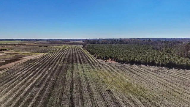 $320,000 | 0 East Twin Church Road, Timmonsville, SC 29161