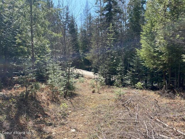Nna Upper Gold Creek Road Sandpoint, ID 83864 - Photo 5 of 25 5