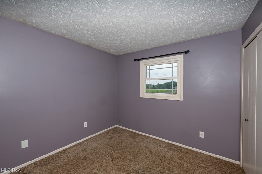 3368 Erhart Road Litchfield, OH 44253 - Photo 20 of 35 Spare room featuring carpet floors and a textured ceiling