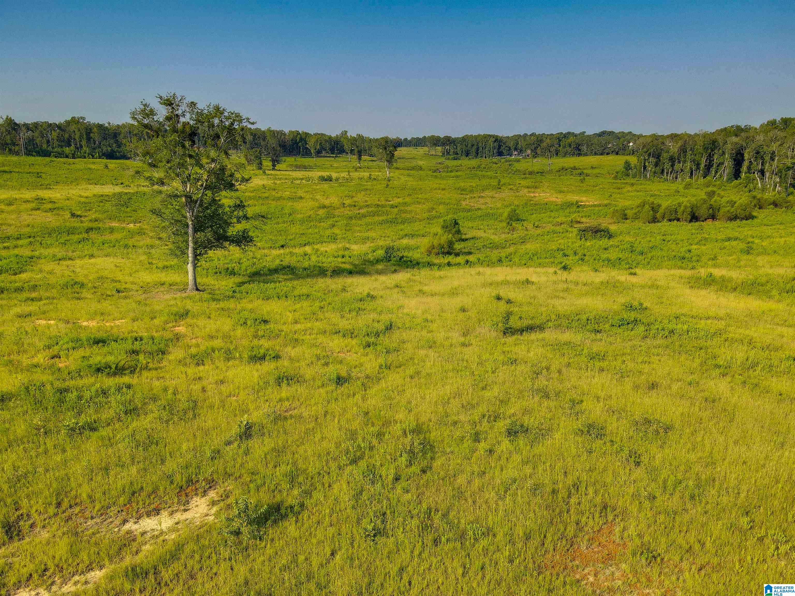 0 New Harmony Road Clanton, AL 35045 - Photo 7 of 14