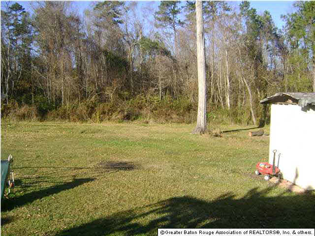 45066 Roux Road Prairieville, LA 70769 - Photo 8 of 9 Gallery Image 8