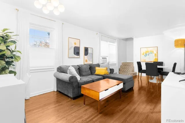 a living room with furniture or couch and a potted plant