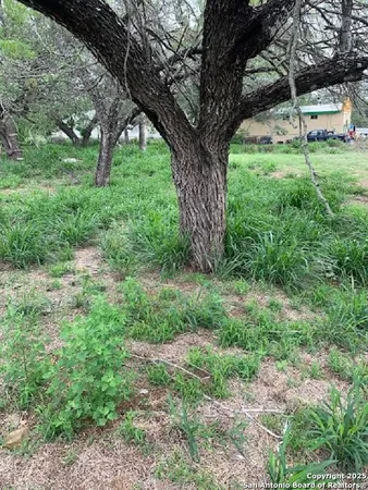 a view of backyard with green space