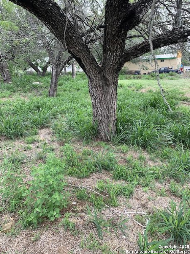 413 Ross Avenue Devine, TX 78016 - Photo 3 of 5 a view of backyard with green space