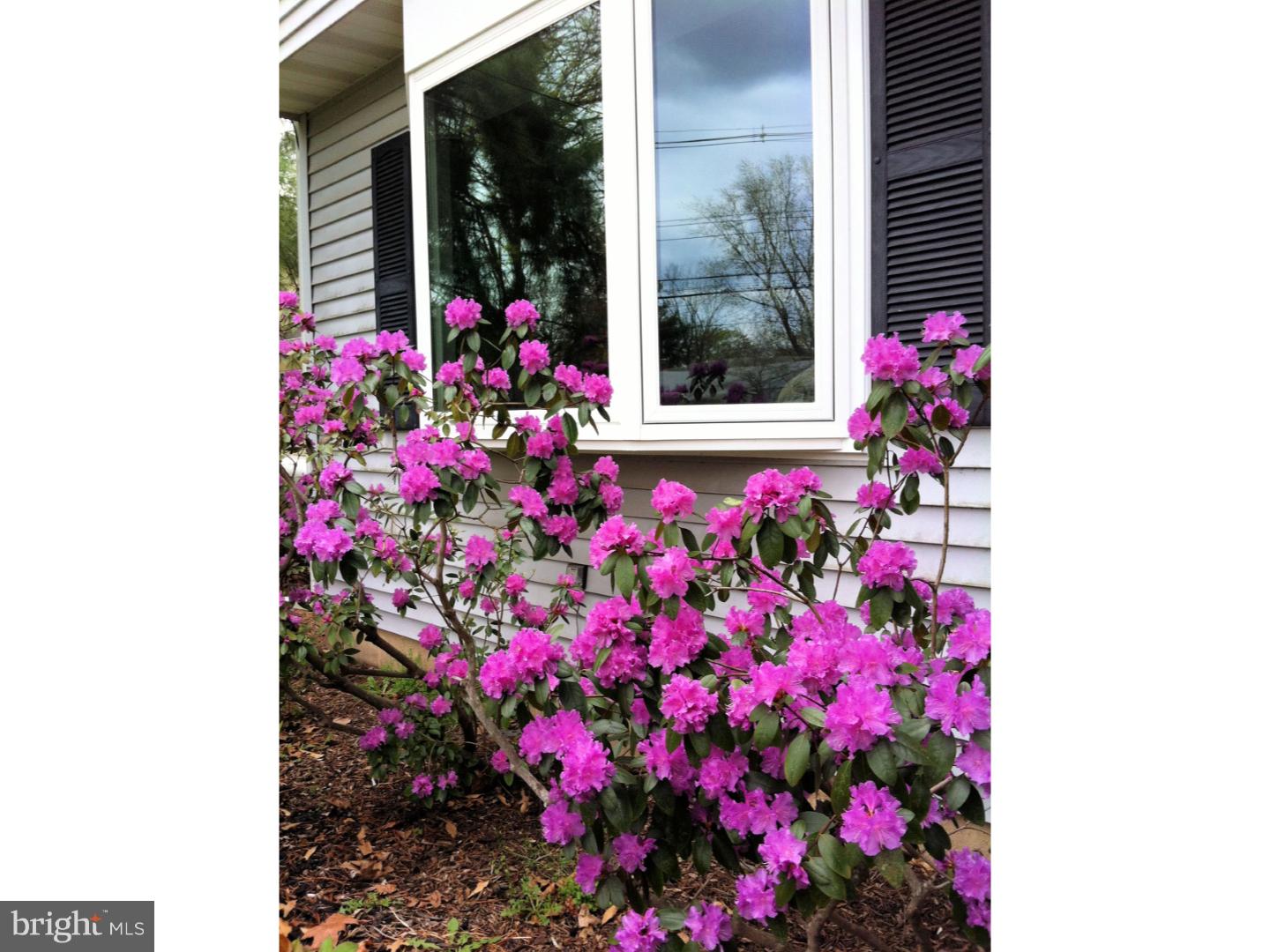 8 Brooktree Road East Windsor, NJ 08520 - Photo 22 of 24 Gallery Image 22