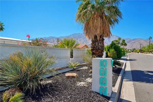 a view of a backyard with plants