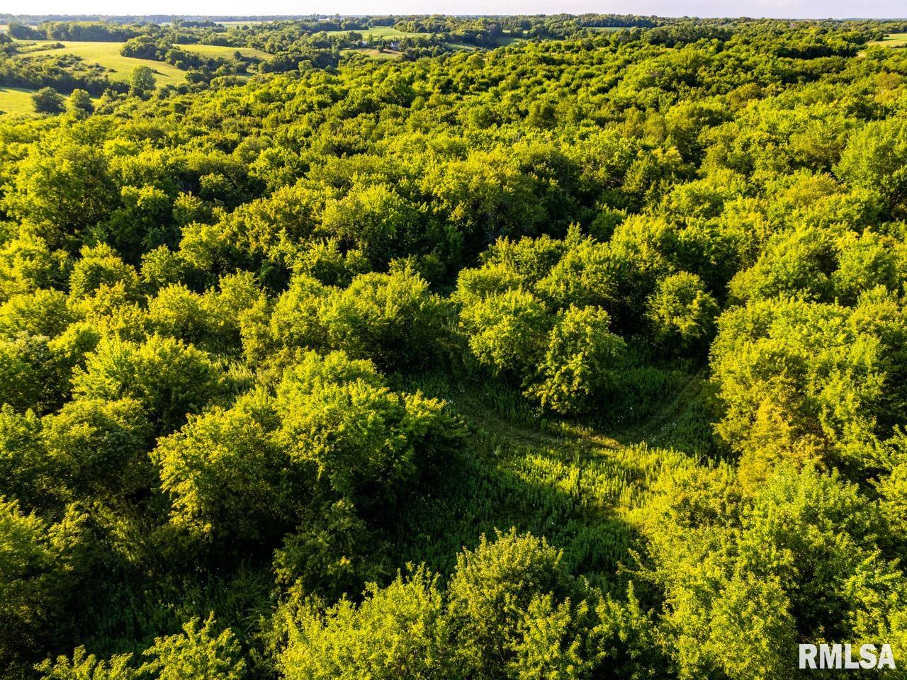 2469 85th Avenue Viola, IL 61486 - Photo 11 of 82