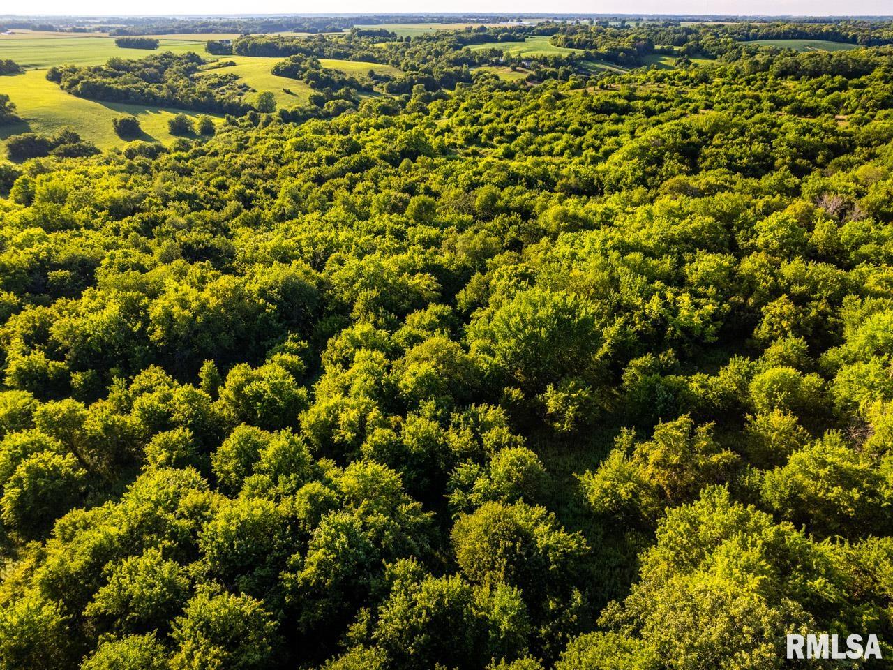 2469 85th Avenue Viola, IL 61486 - Photo 12 of 82