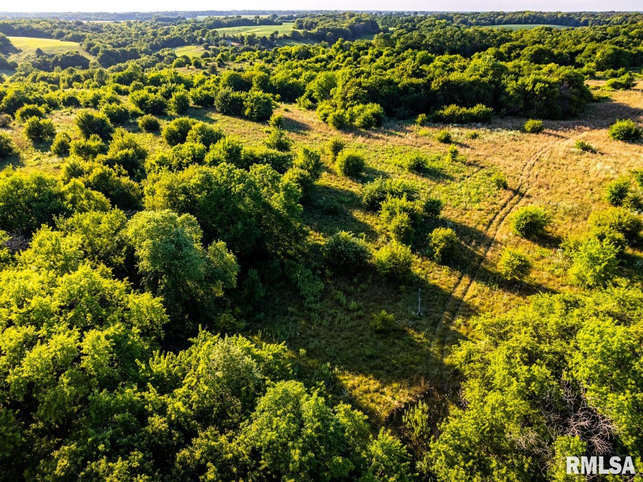 2469 85th Avenue Viola, IL 61486 - Photo 13 of 82