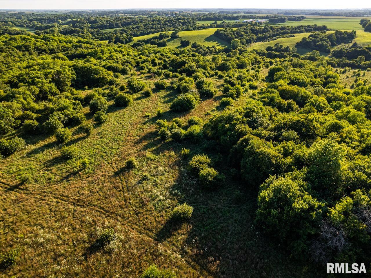 2469 85th Avenue Viola, IL 61486 - Photo 14 of 82