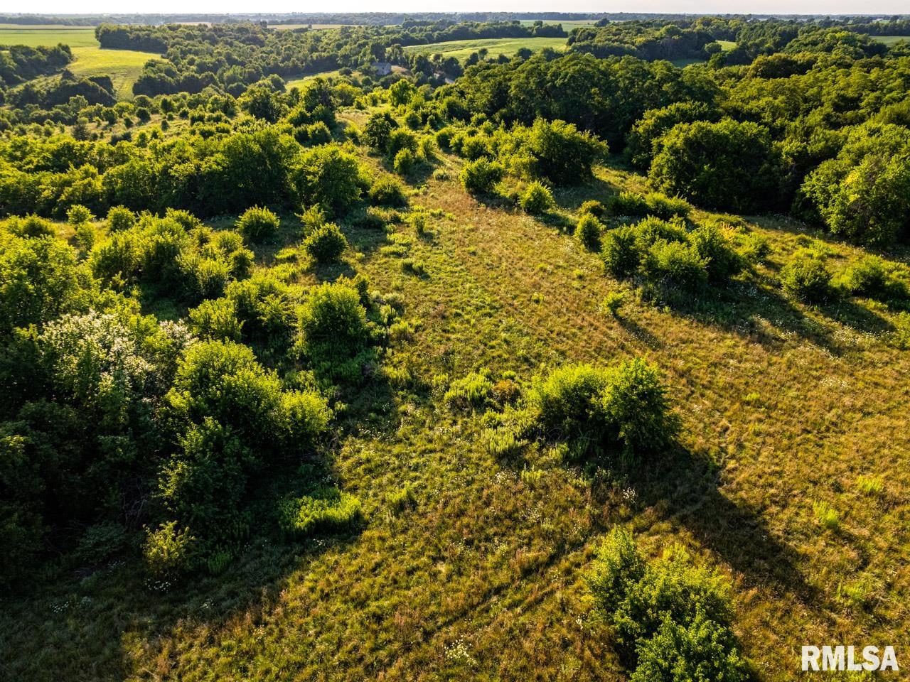 2469 85th Avenue Viola, IL 61486 - Photo 15 of 82