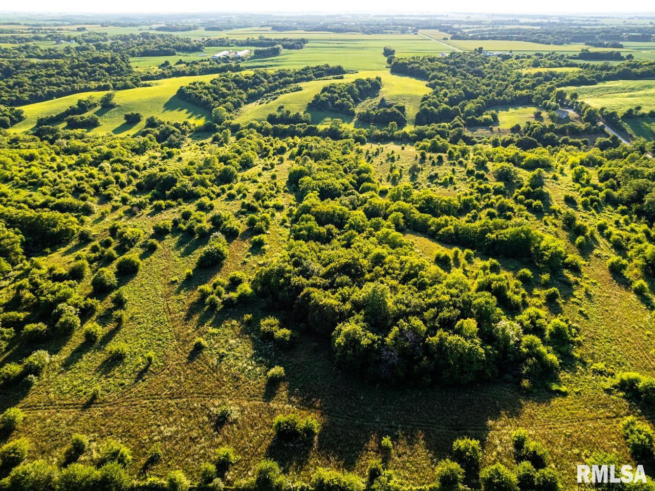 2469 85th Avenue Viola, IL 61486 - Photo 16 of 82