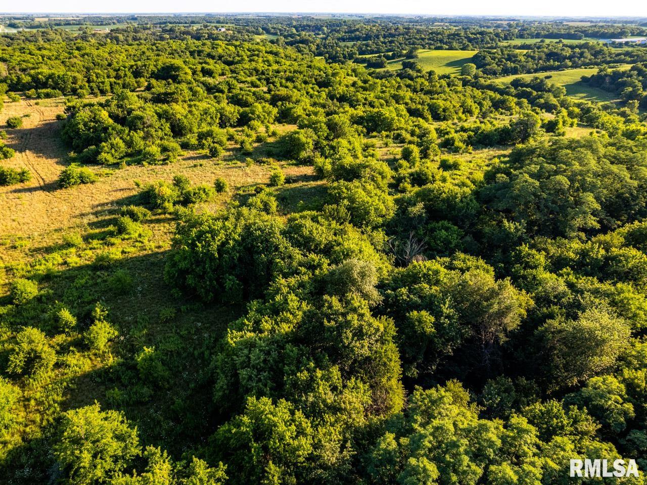 2469 85th Avenue Viola, IL 61486 - Photo 18 of 82