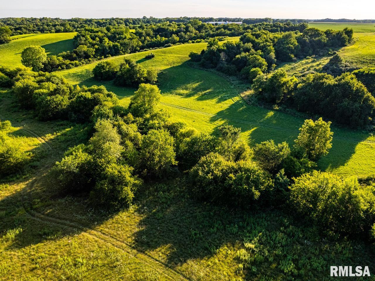2469 85th Avenue Viola, IL 61486 - Photo 28 of 82