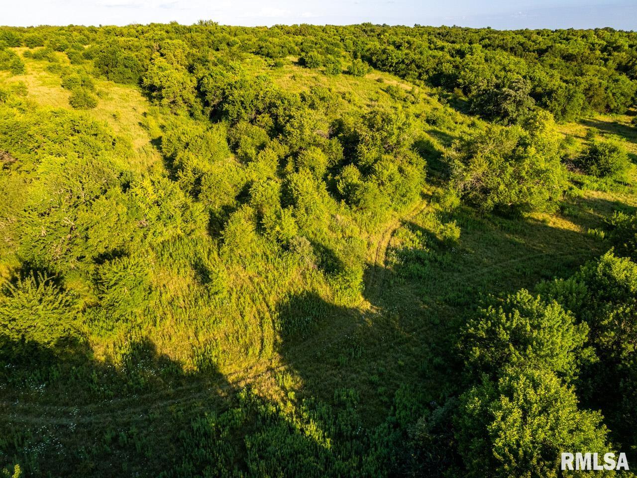 2469 85th Avenue Viola, IL 61486 - Photo 29 of 82