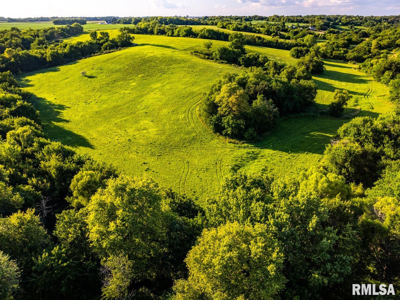 2469 85th Avenue Viola, IL 61486 - Photo 3 of 82