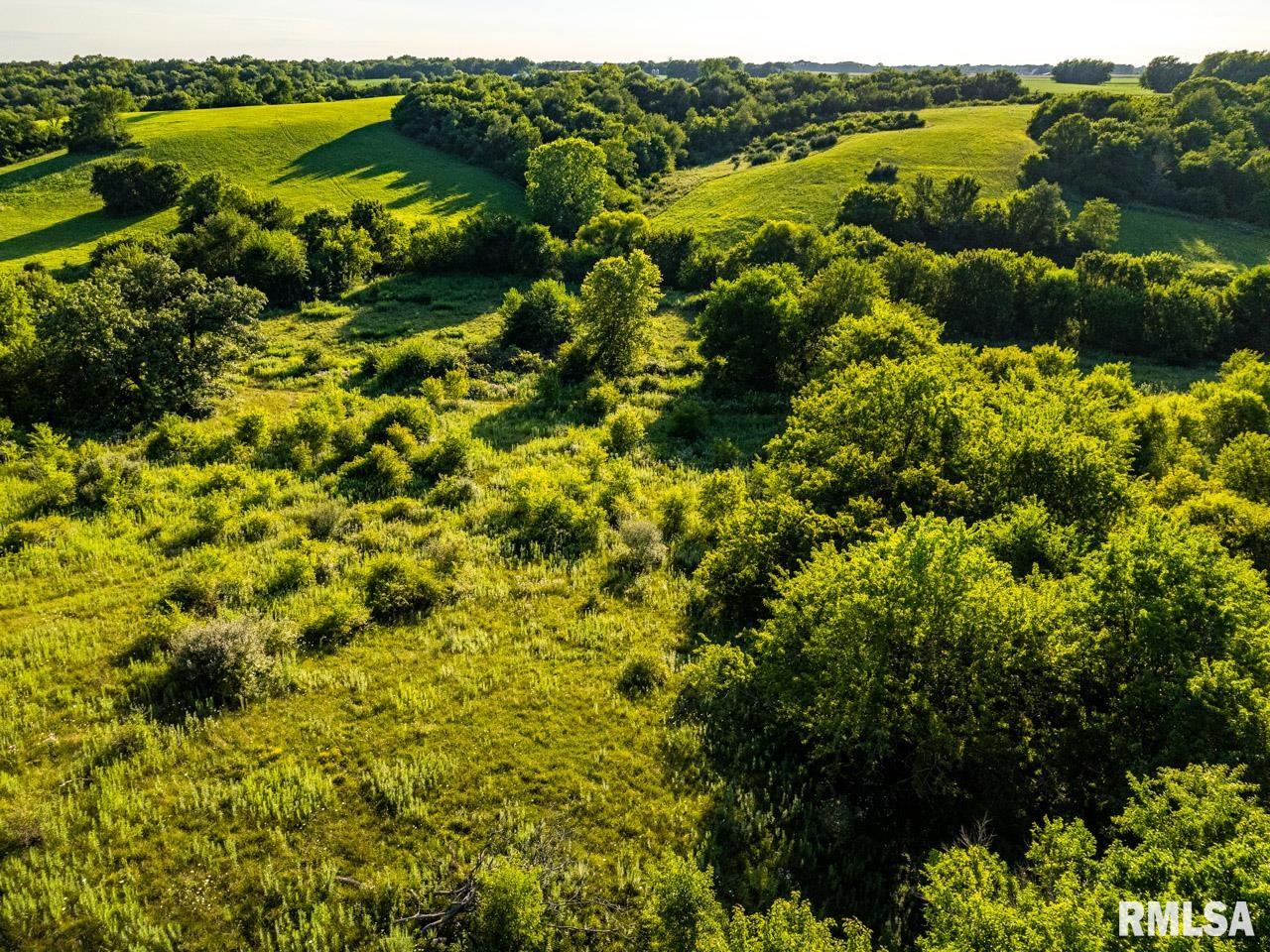 2469 85th Avenue Viola, IL 61486 - Photo 31 of 82