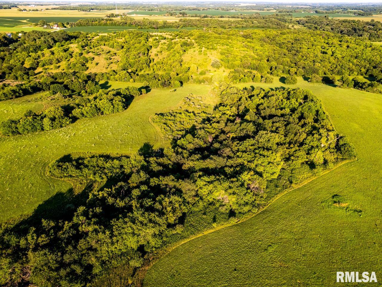 2469 85th Avenue Viola, IL 61486 - Photo 33 of 82