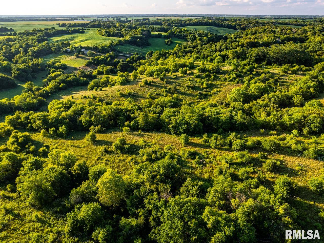 2469 85th Avenue Viola, IL 61486 - Photo 36 of 82