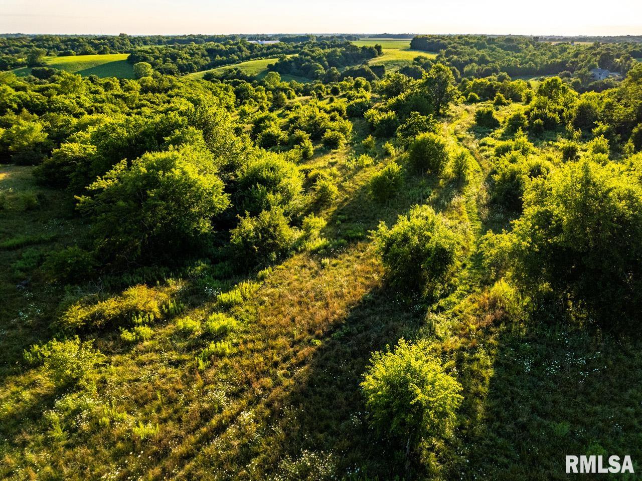 2469 85th Avenue Viola, IL 61486 - Photo 37 of 82