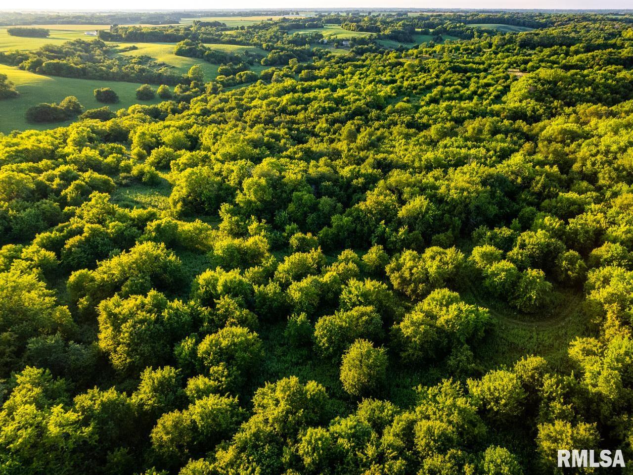2469 85th Avenue Viola, IL 61486 - Photo 38 of 82