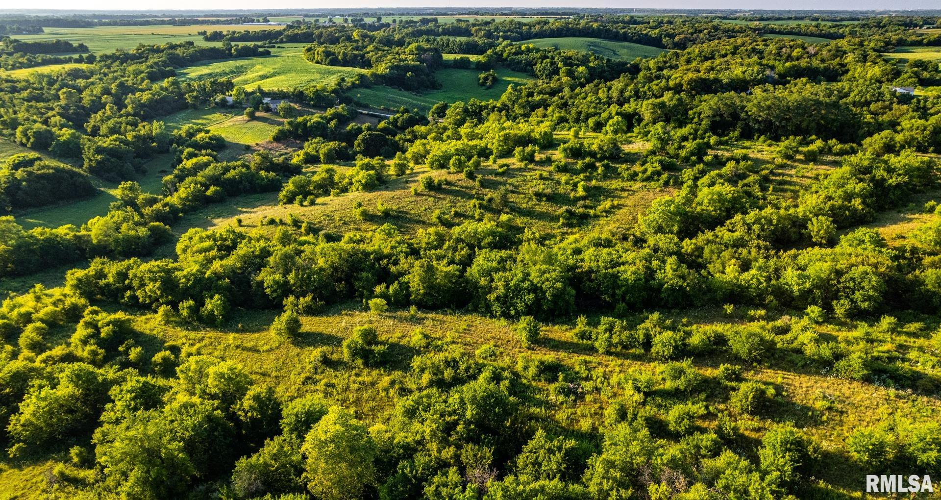 2469 85th Avenue Viola, IL 61486 - Photo 40 of 82