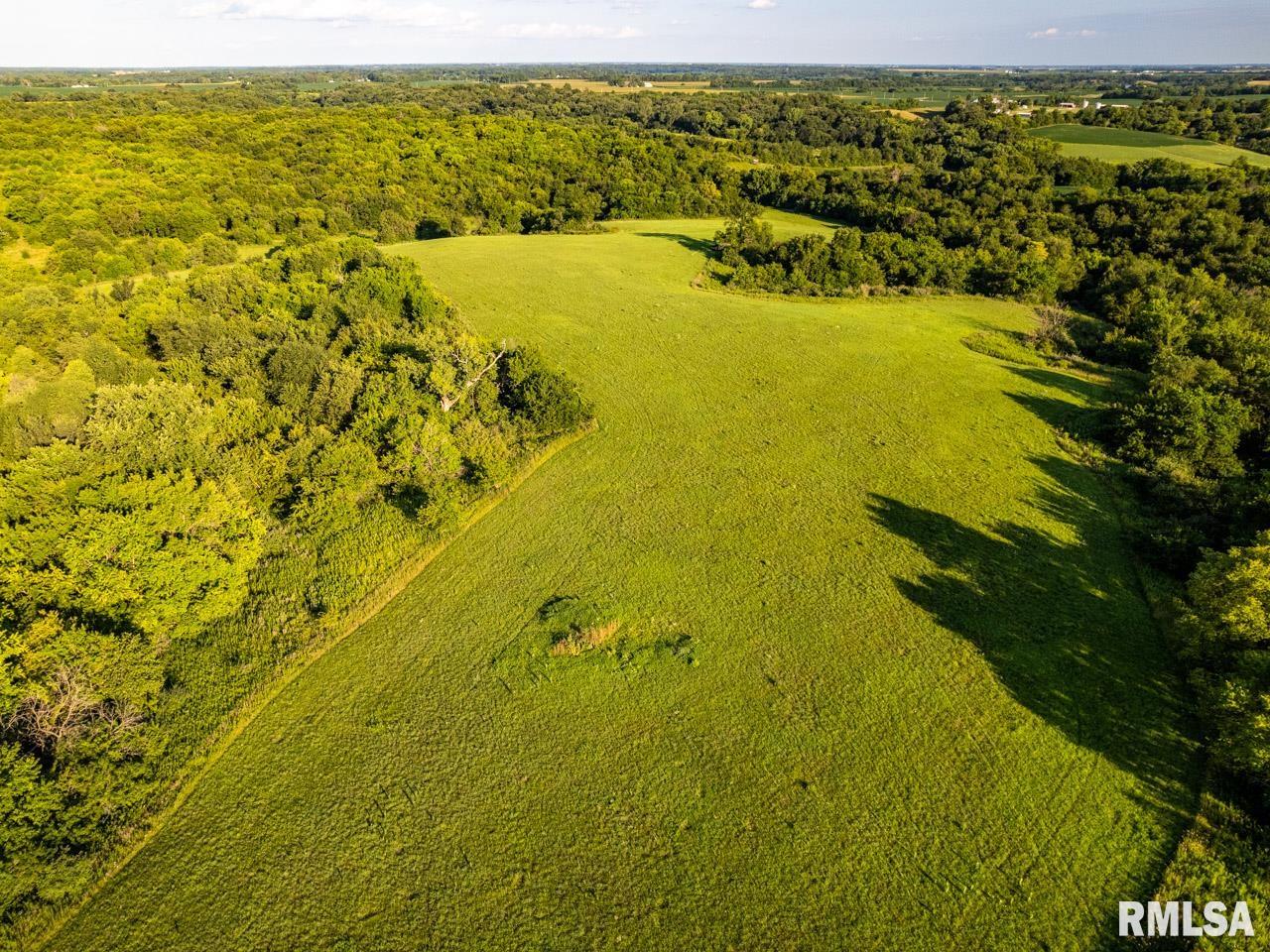 2469 85th Avenue Viola, IL 61486 - Photo 4 of 82