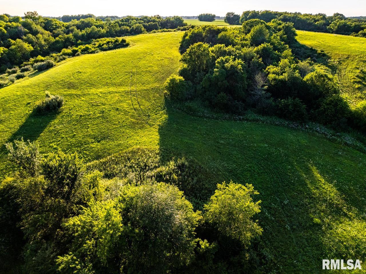 2469 85th Avenue Viola, IL 61486 - Photo 5 of 82