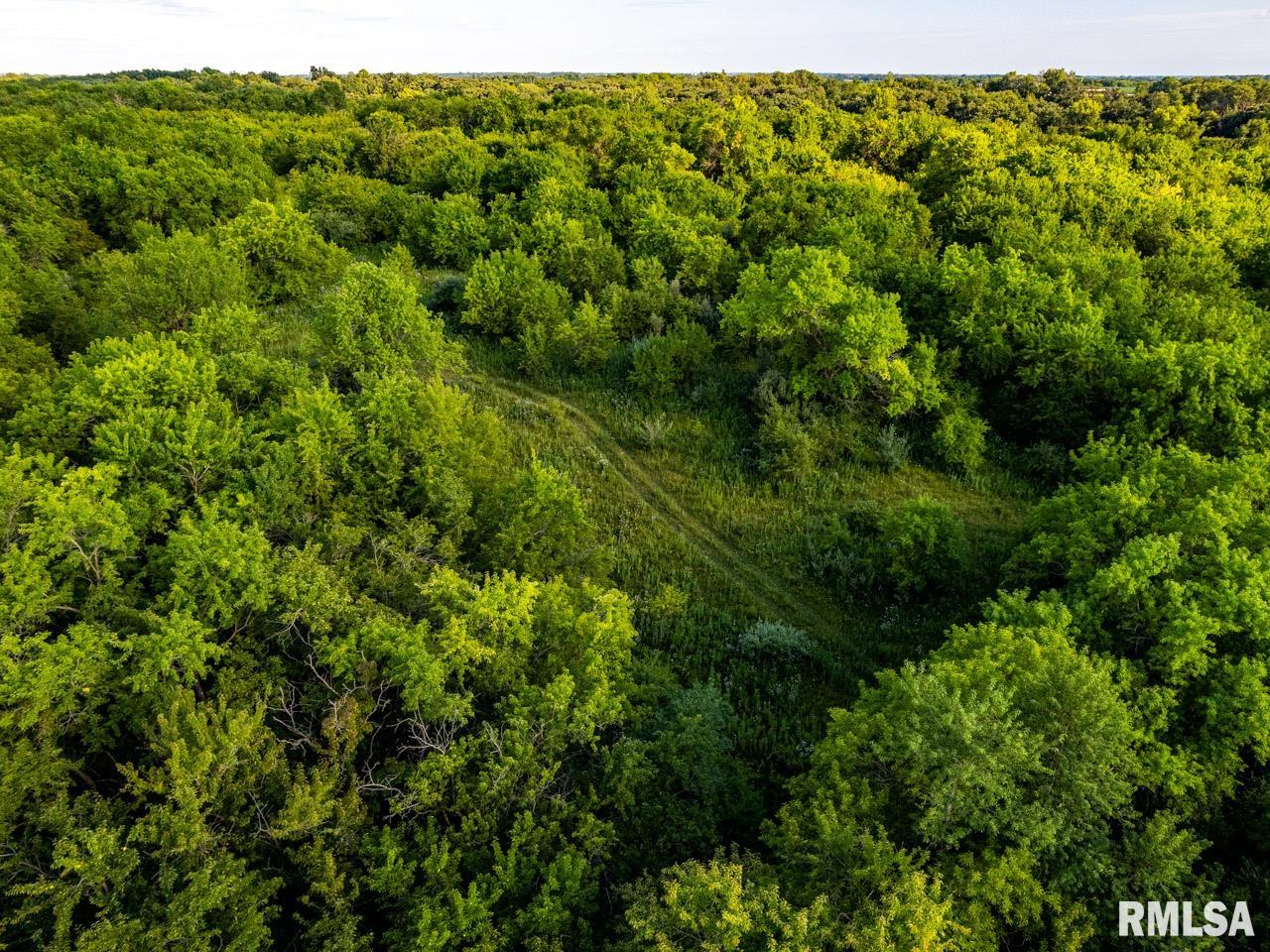 2469 85th Avenue Viola, IL 61486 - Photo 6 of 82