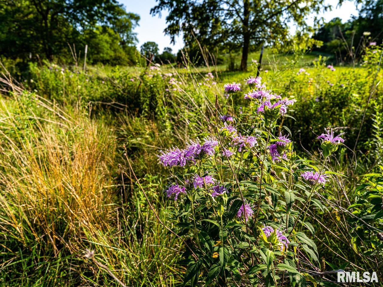 2469 85th Avenue Viola, IL 61486 - Photo 64 of 82