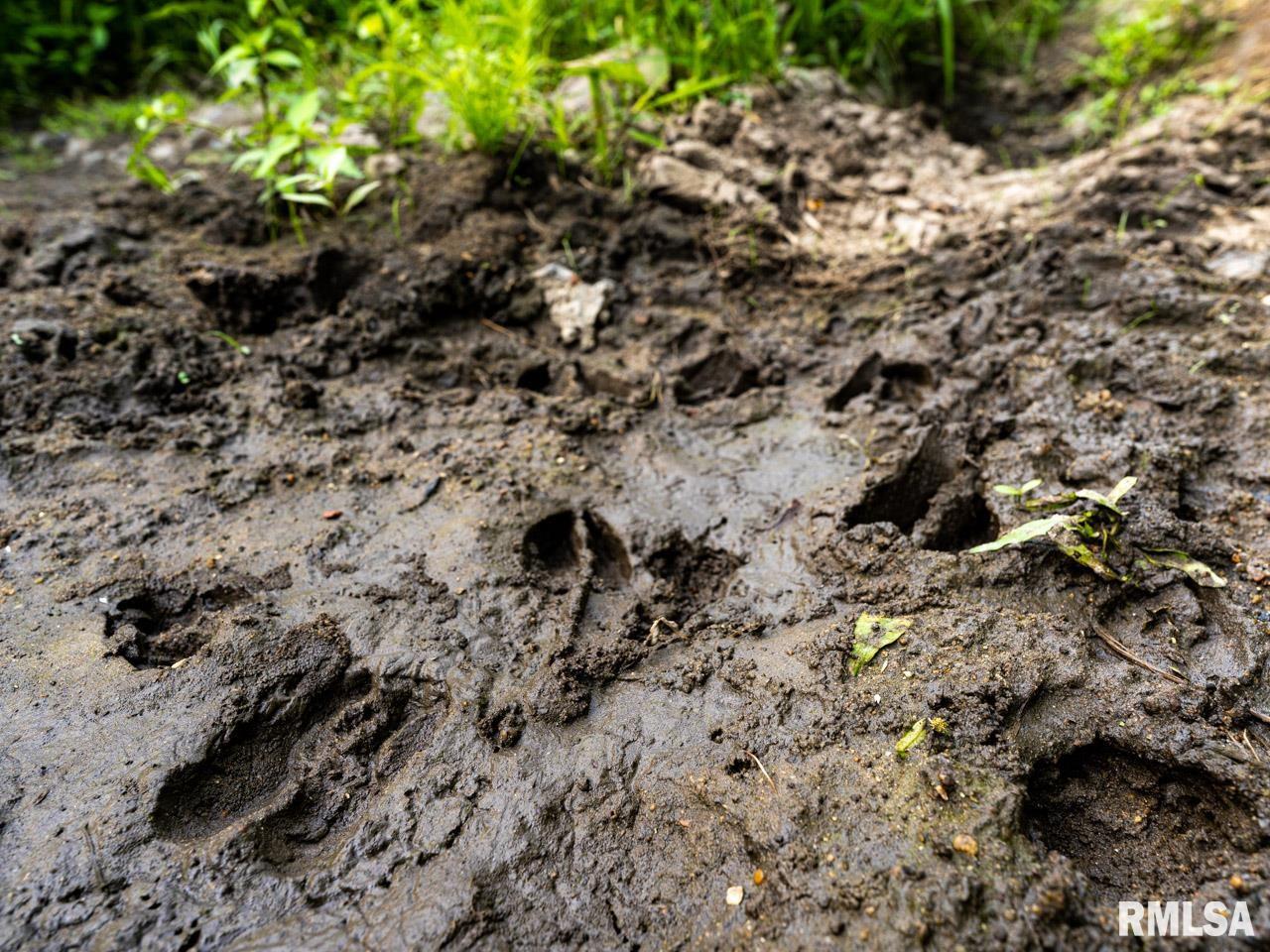 2469 85th Avenue Viola, IL 61486 - Photo 65 of 82