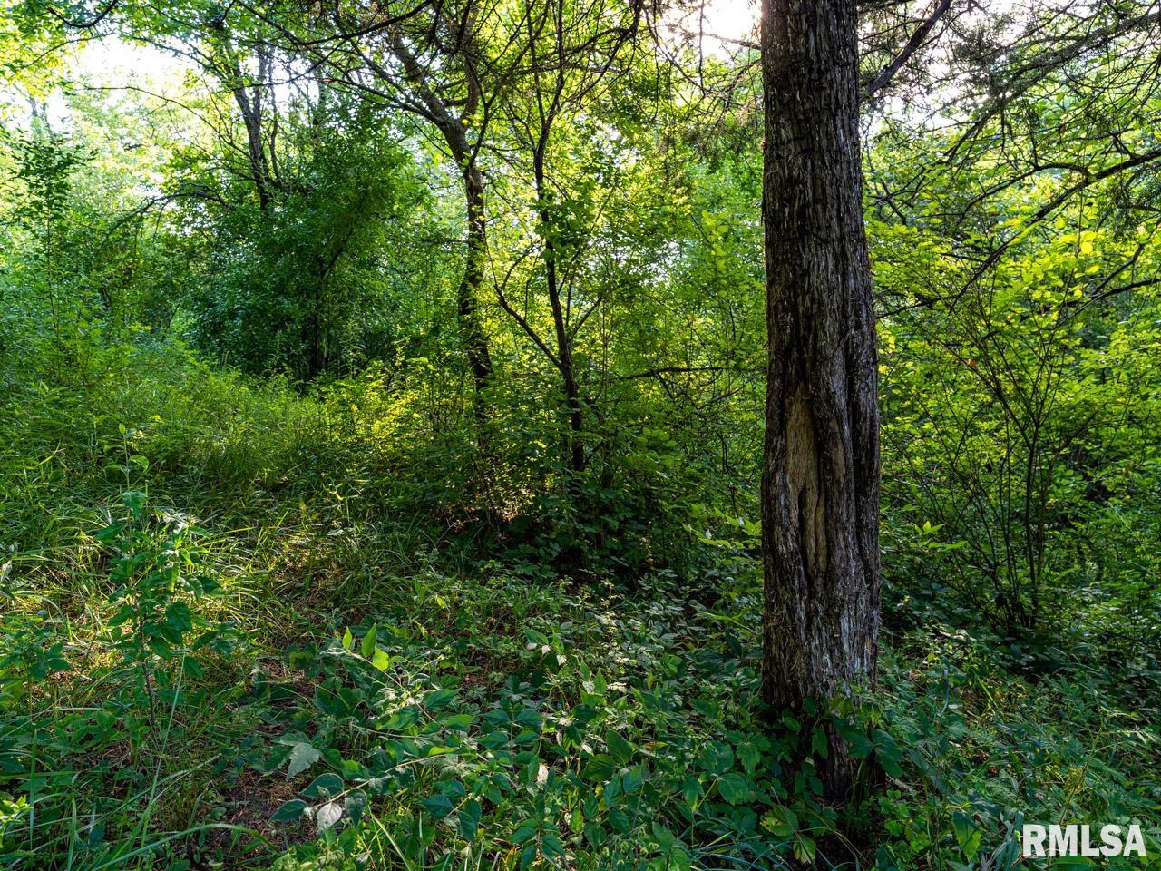 2469 85th Avenue Viola, IL 61486 - Photo 66 of 82
