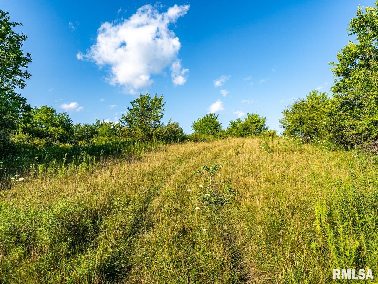 2469 85th Avenue Viola, IL 61486 - Photo 67 of 82