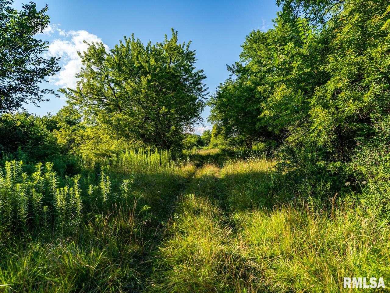 2469 85th Avenue Viola, IL 61486 - Photo 68 of 82