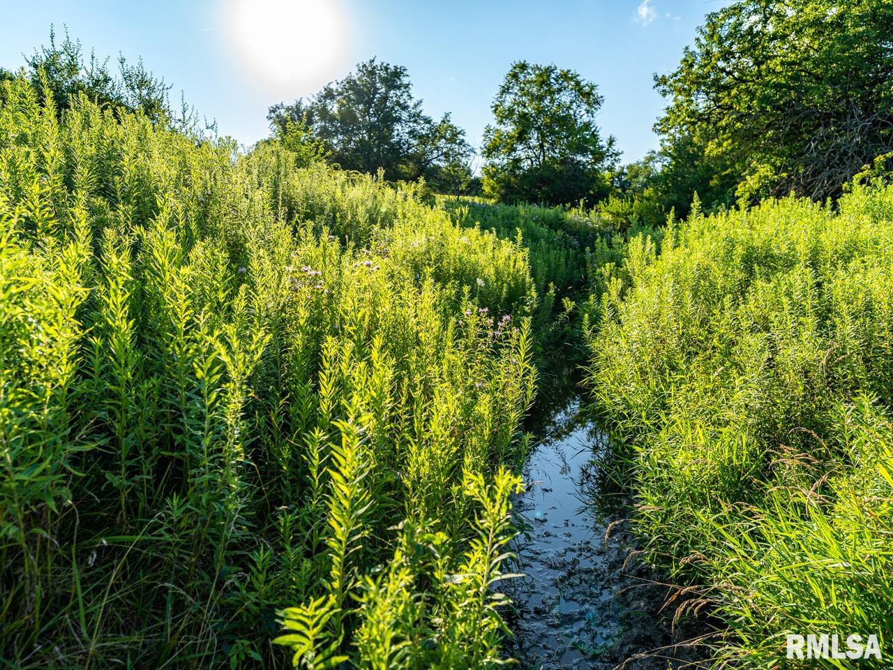 2469 85th Avenue Viola, IL 61486 - Photo 69 of 82