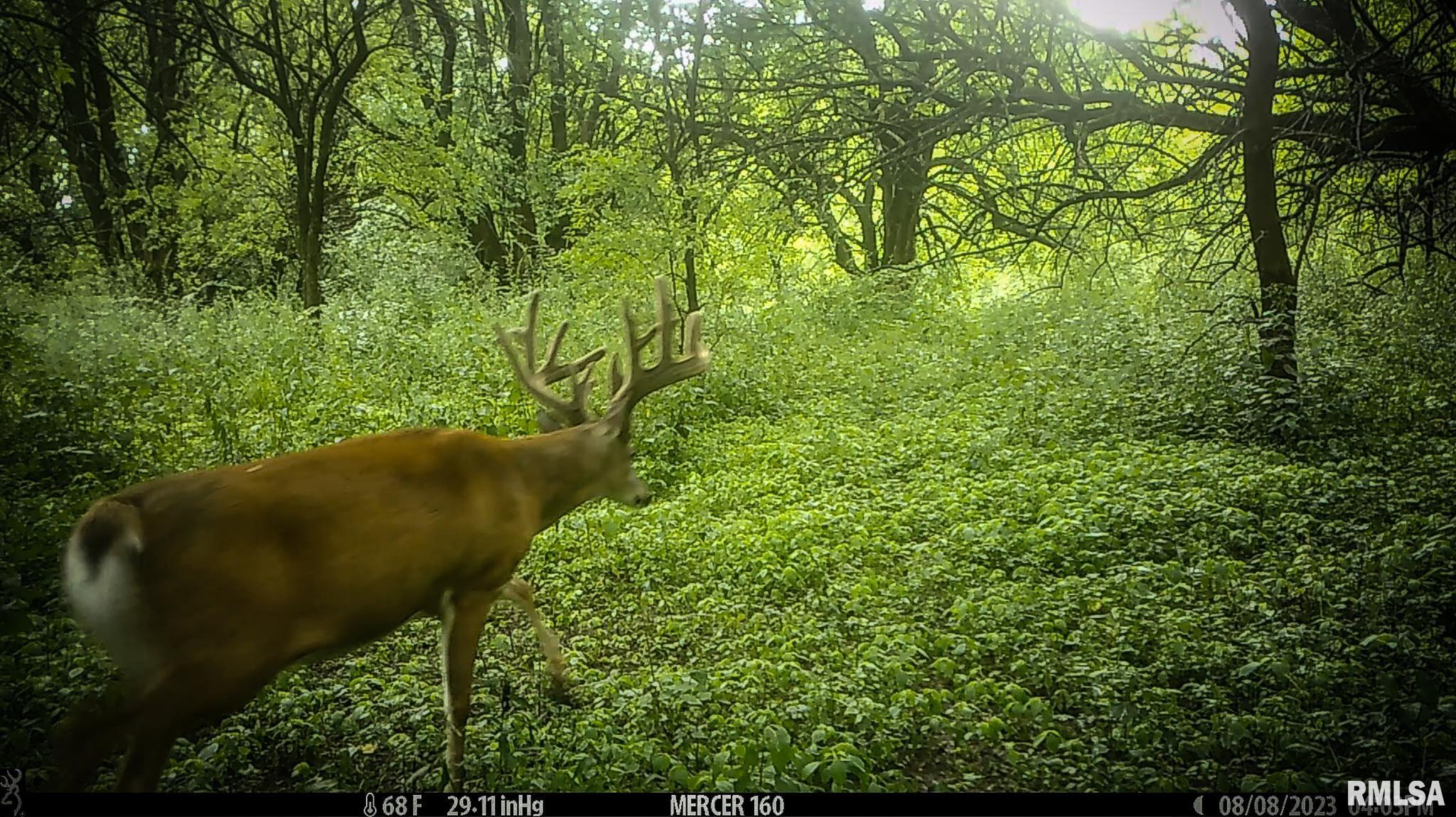 2469 85th Avenue Viola, IL 61486 - Photo 70 of 82