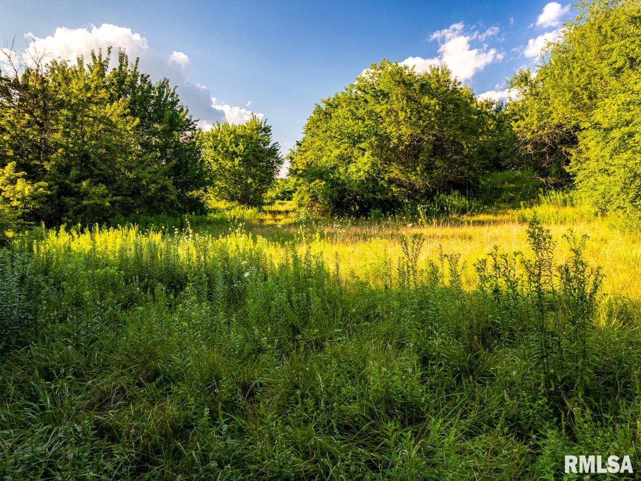 2469 85th Avenue Viola, IL 61486 - Photo 7 of 82