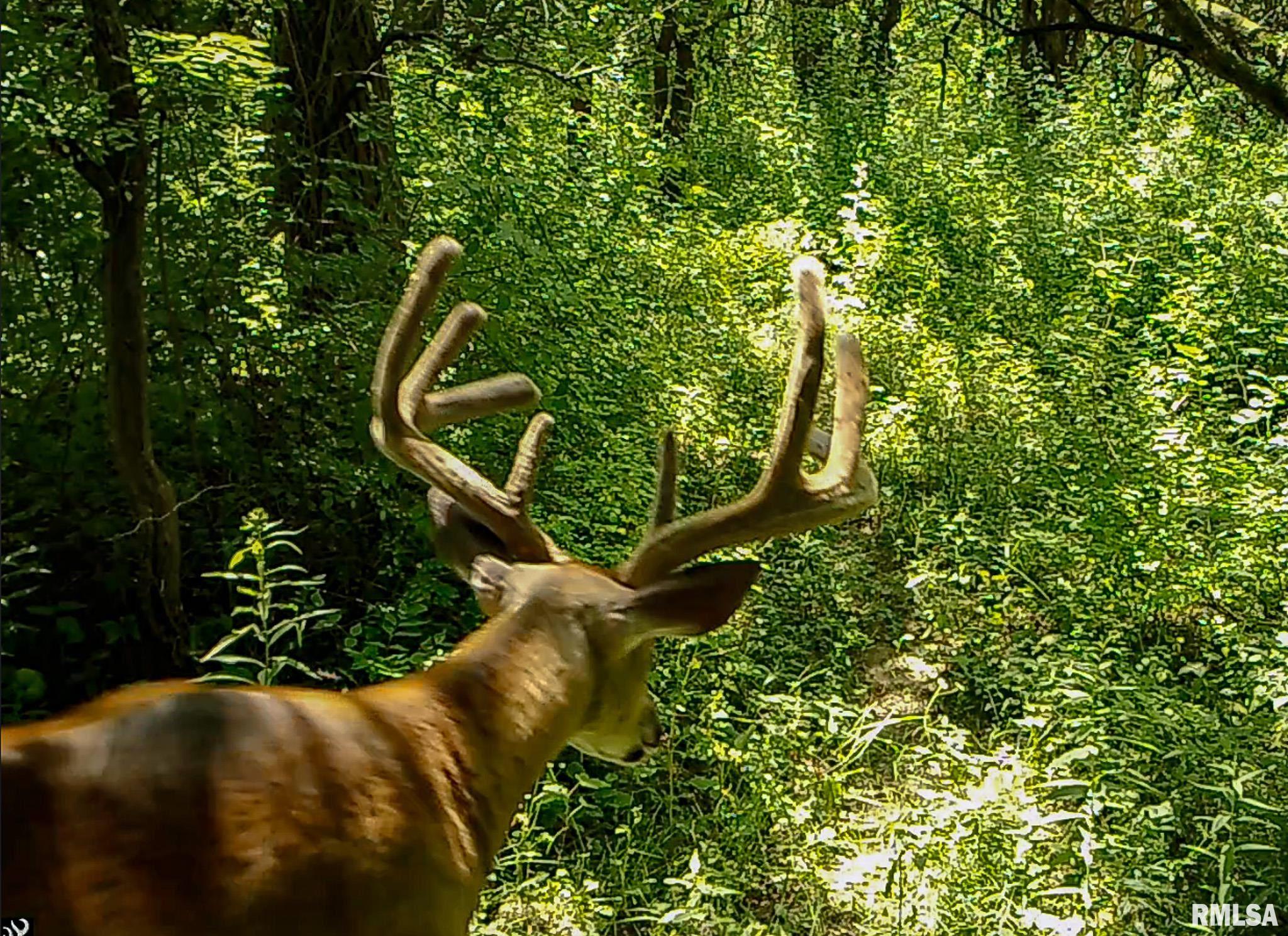 2469 85th Avenue Viola, IL 61486 - Photo 71 of 82