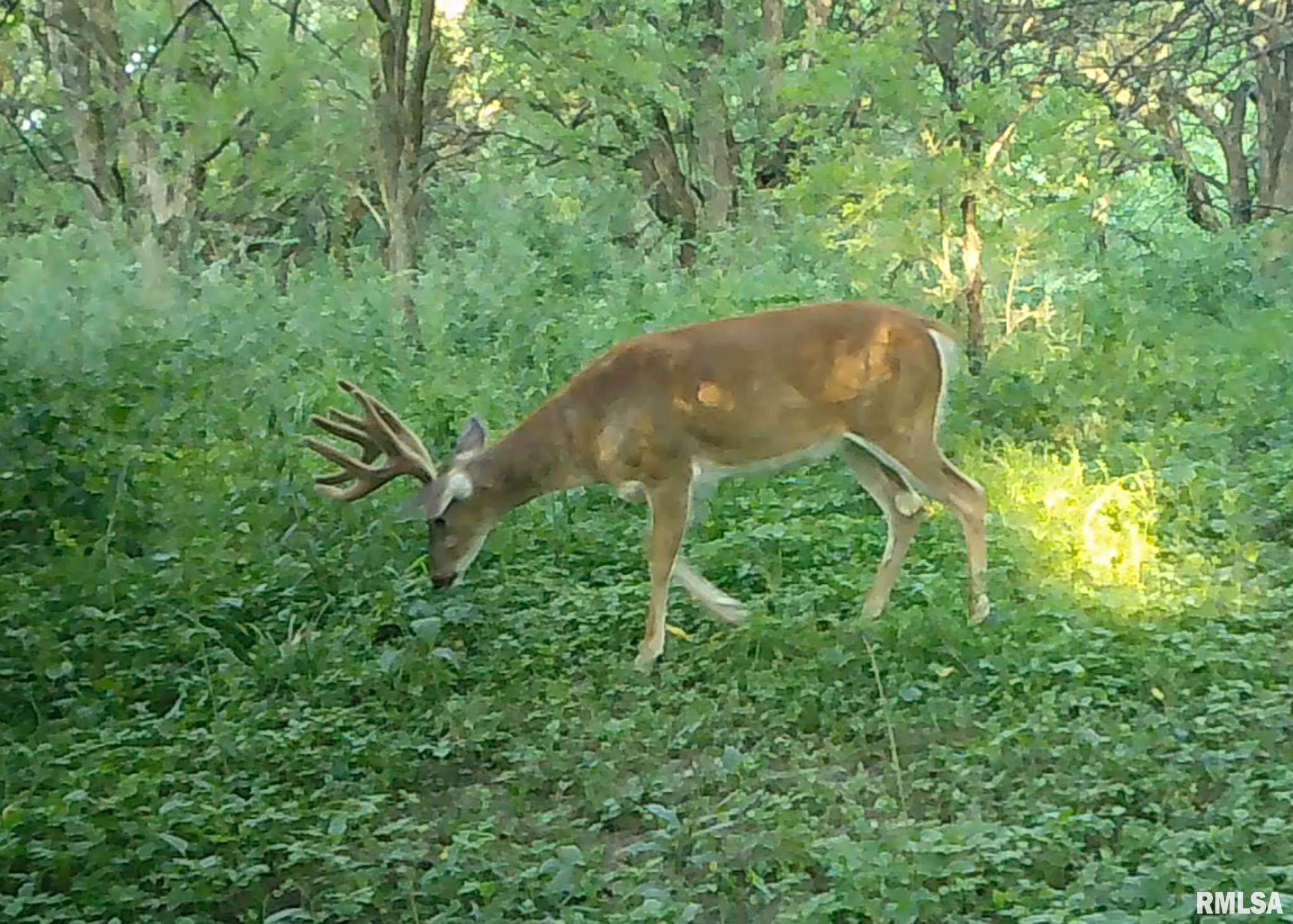 2469 85th Avenue Viola, IL 61486 - Photo 72 of 82