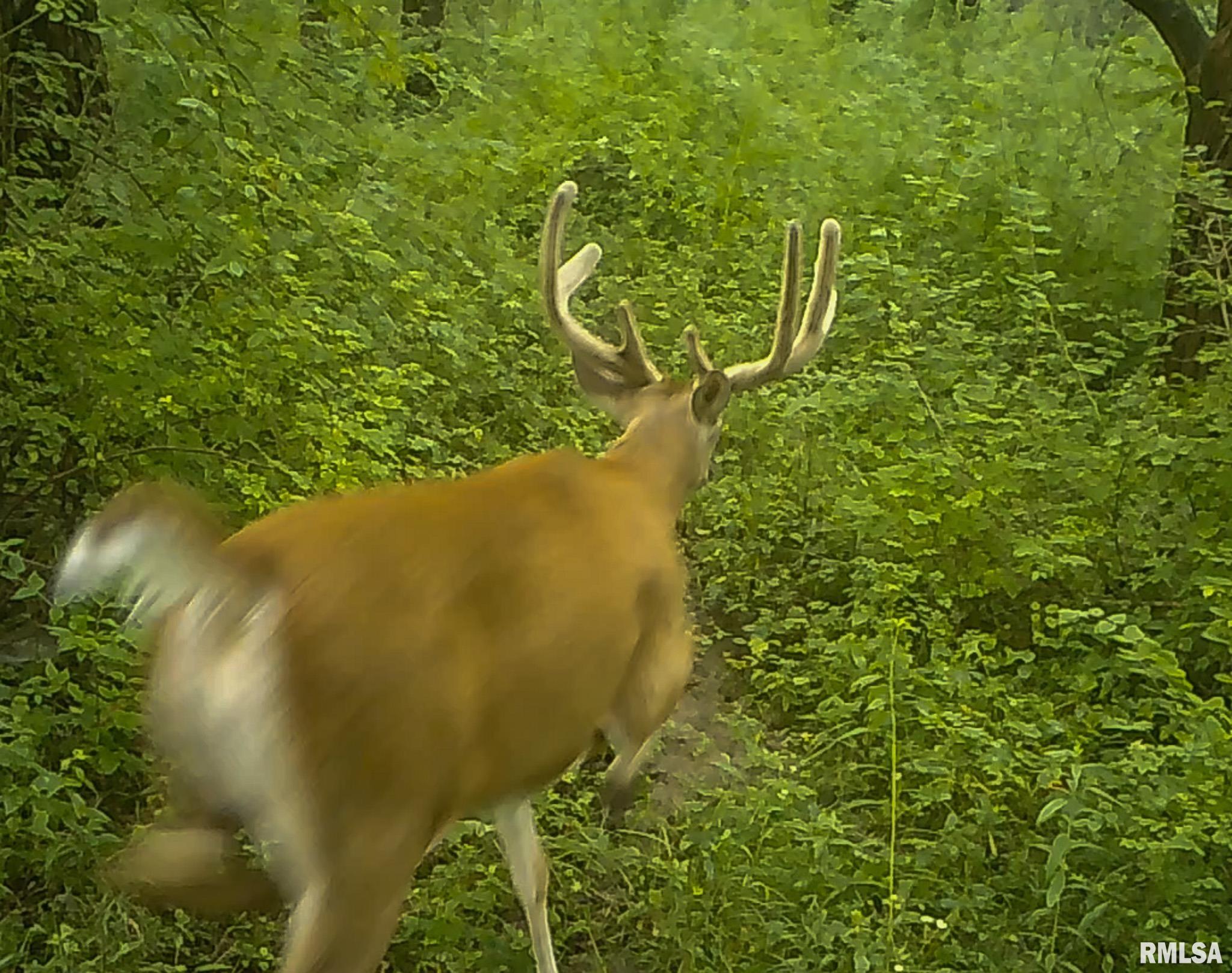 2469 85th Avenue Viola, IL 61486 - Photo 73 of 82