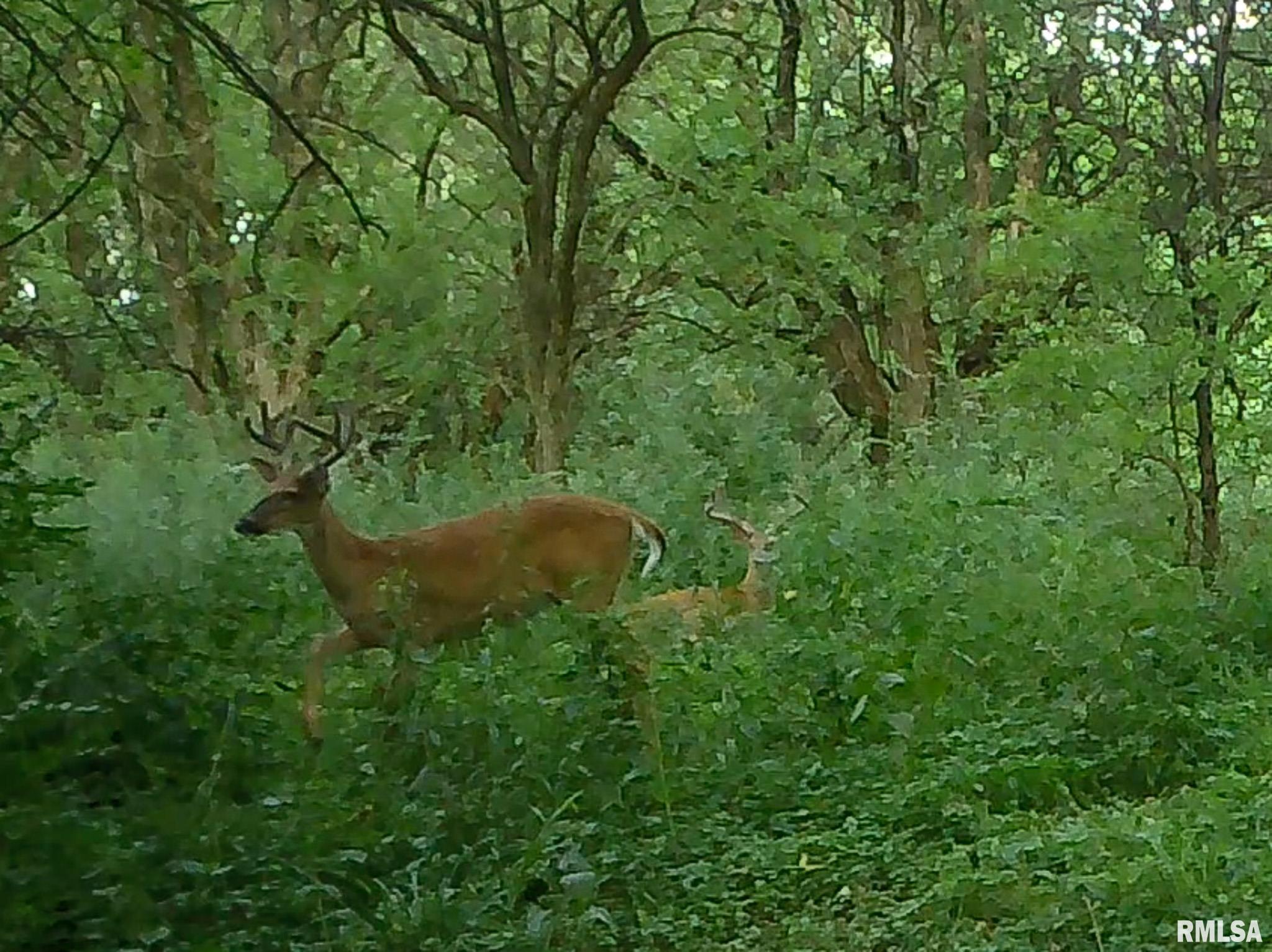 2469 85th Avenue Viola, IL 61486 - Photo 74 of 82
