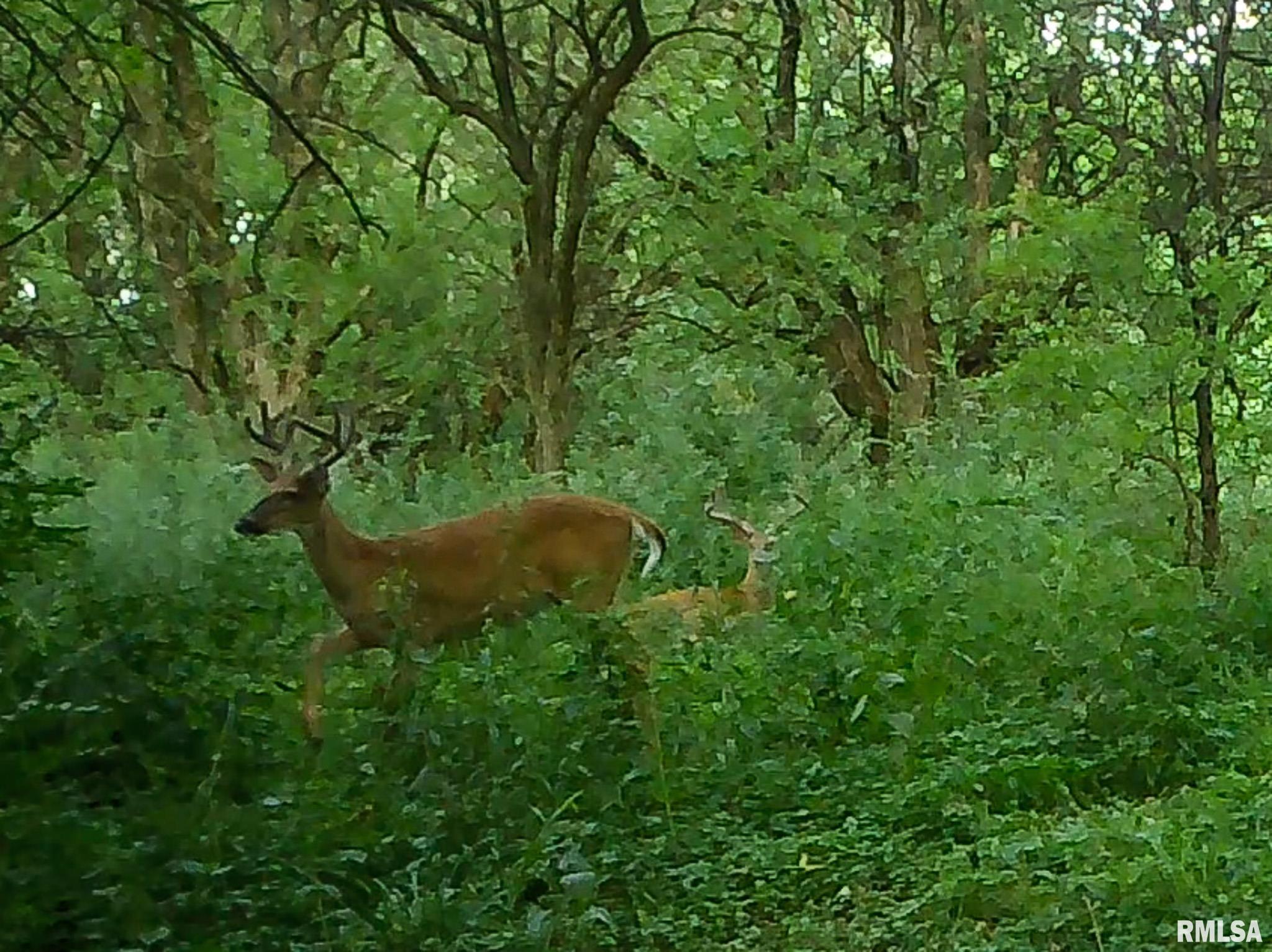 2469 85th Avenue Viola, IL 61486 - Photo 75 of 82