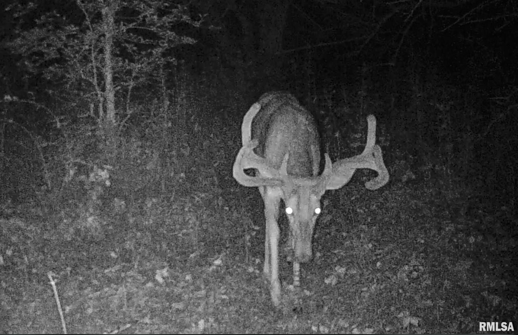 2469 85th Avenue Viola, IL 61486 - Photo 76 of 82