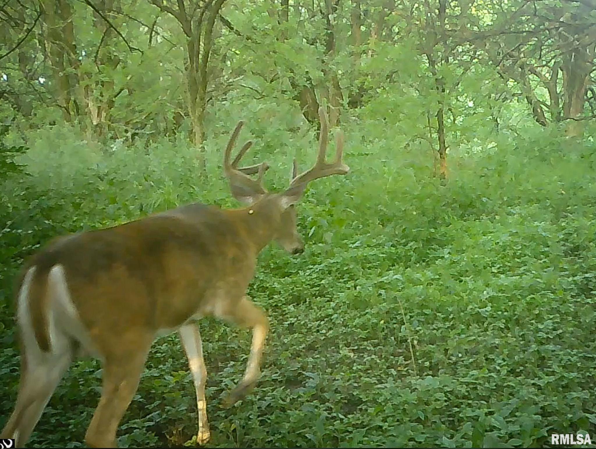 2469 85th Avenue Viola, IL 61486 - Photo 77 of 82