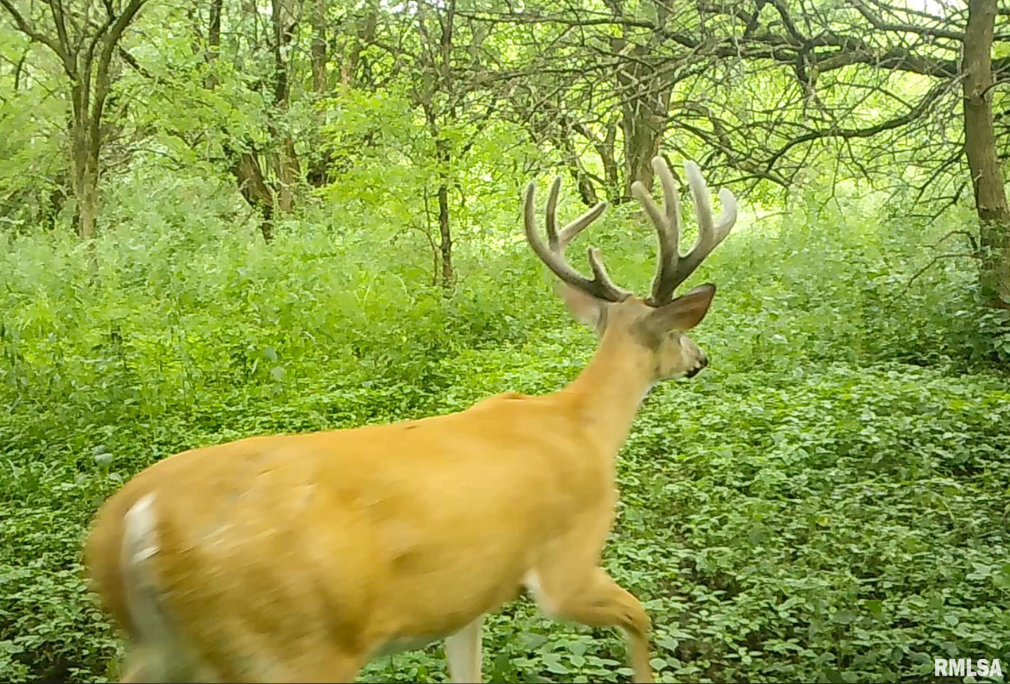 2469 85th Avenue Viola, IL 61486 - Photo 78 of 82